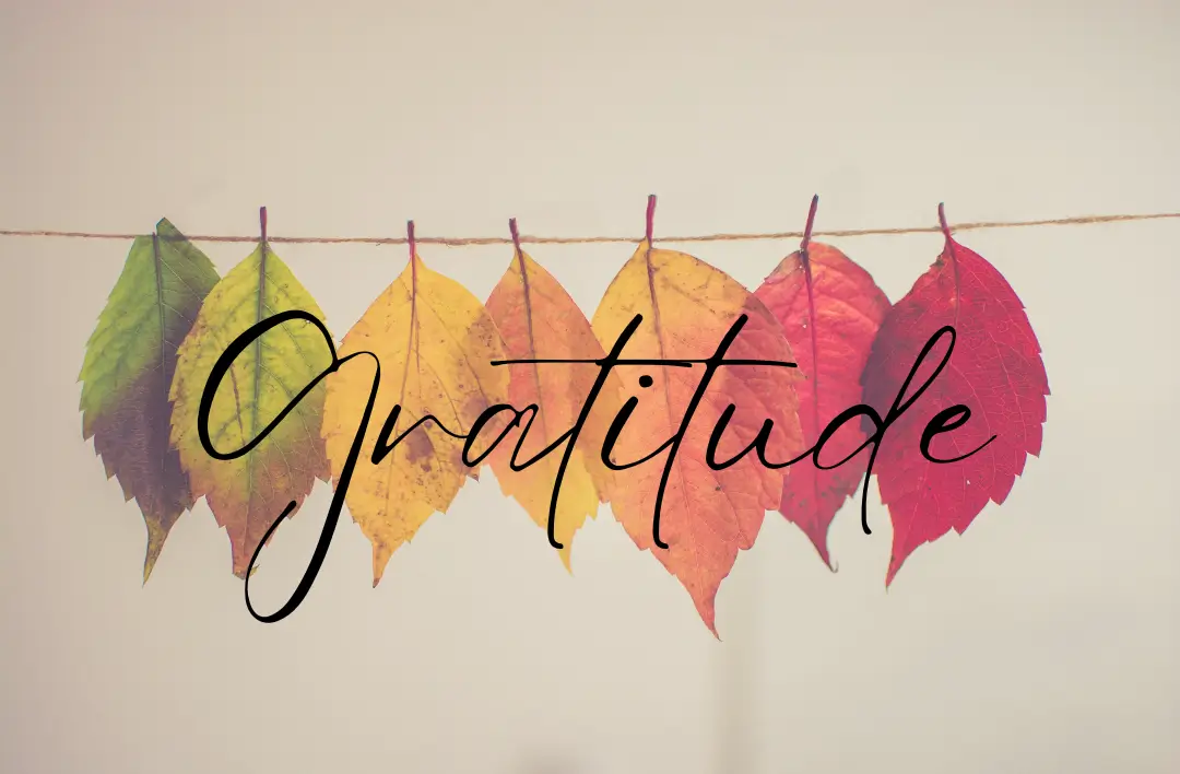 Gratitude photo of leaves